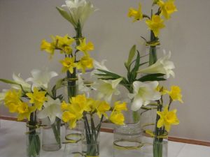 daffodilsresized